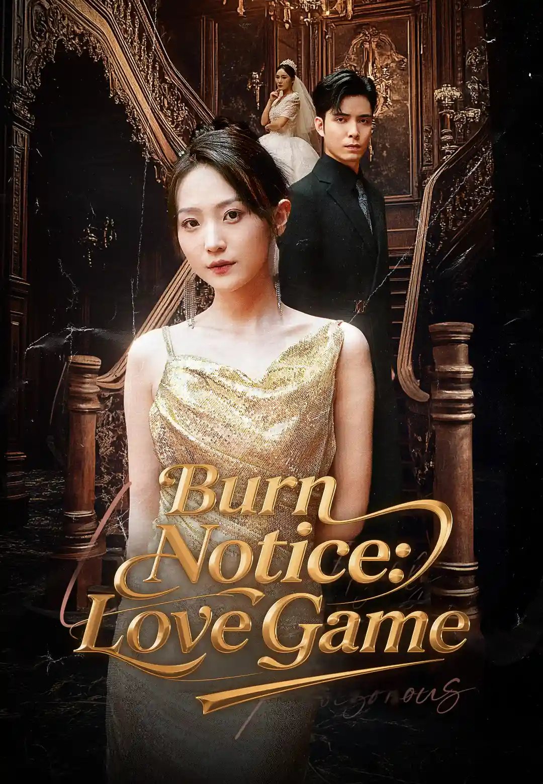 Burn Notice: Love Game
