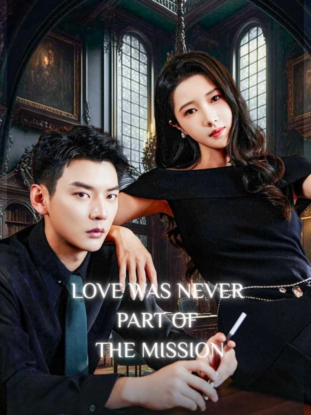 Love Was Never Part of the Mission