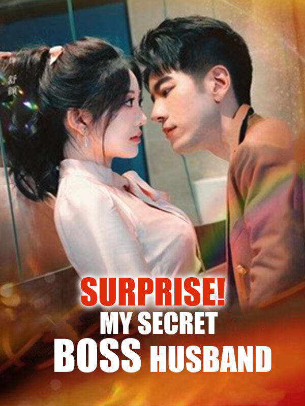 Surprise! My Secret Boss Husband