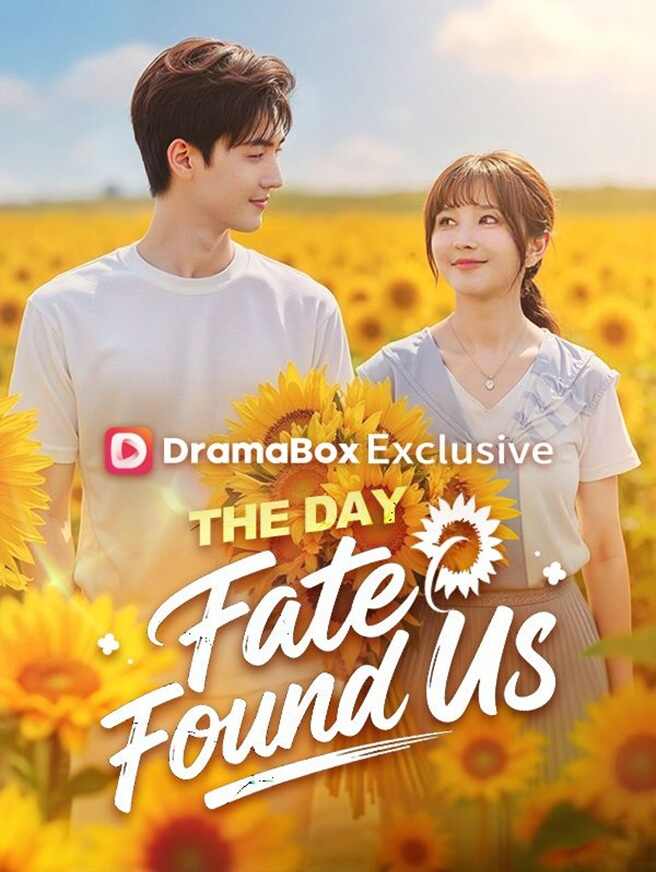 The Day Fate Found Us(DUBBED)