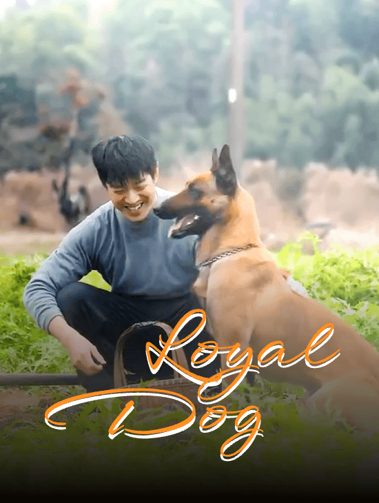 Loyal Dog