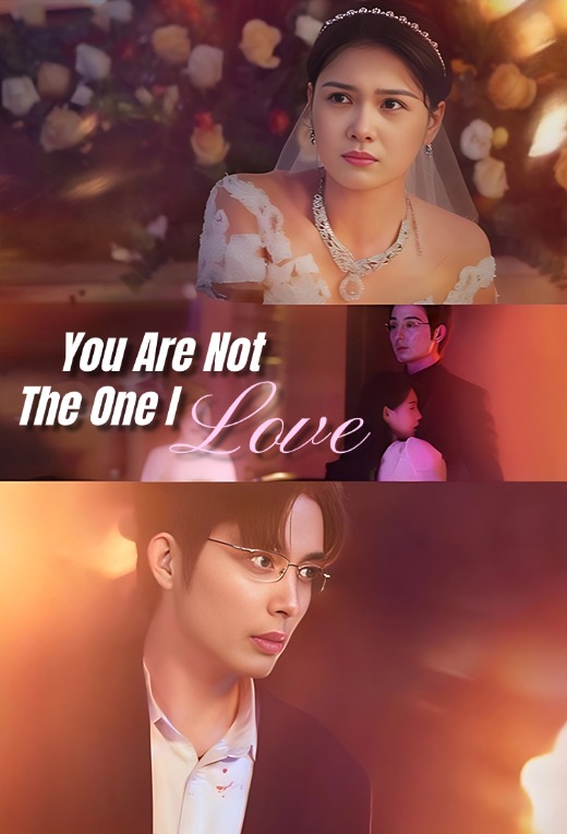 You Are Not The One I Love